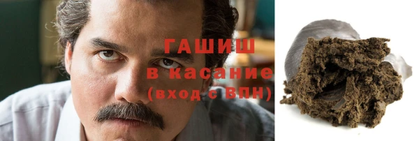 гидра Рославль