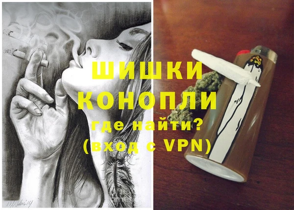 гидра Рославль
