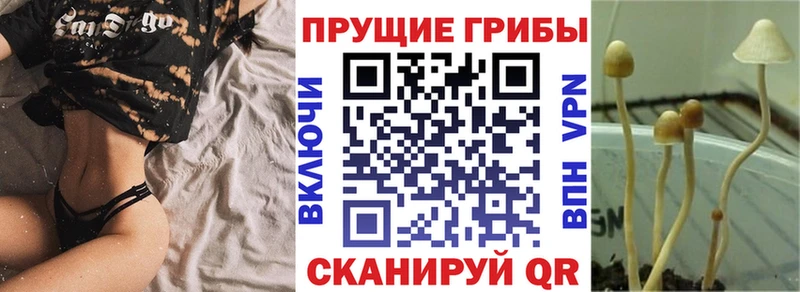 Псилоцибиновые грибы ЛСД  дарнет шоп  Балахна 